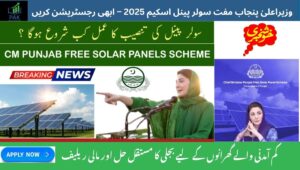 Read more about the article CM Punjab Free Solar Panel Scheme 2025 – Register Now to Get Free Installation