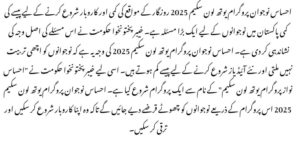 Ehsaas Nojawan Program Youth Loan Scheme 2025