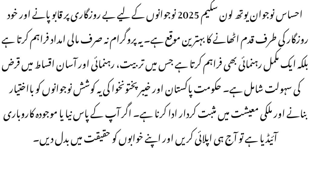 Ehsaas Nojawan Program Youth Loan Scheme 2025