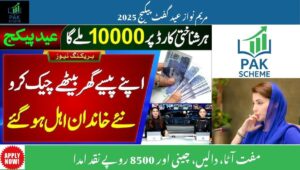 Read more about the article Maryam Nawaz Eid Gift Package 2025– Big Relief & How to Apply