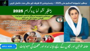 Read more about the article May 2025 Benazir Nashonuma Scheme – How to Register & Get Financial Support