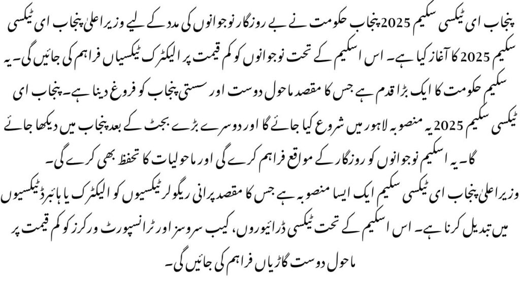 Punjab E-Taxi Scheme 2025