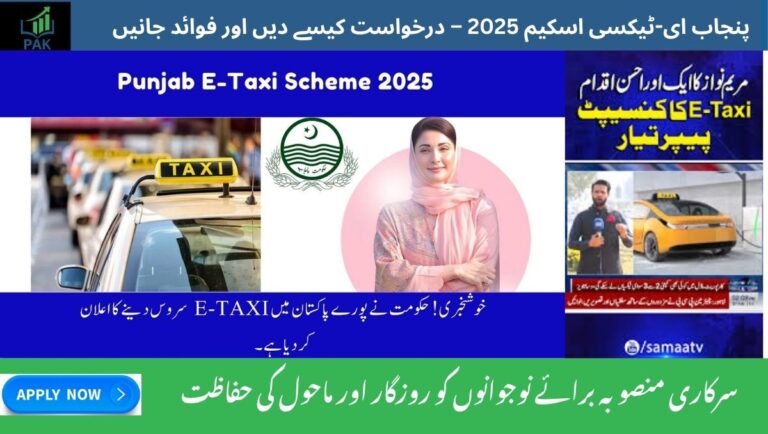Punjab E-Taxi Scheme 2025