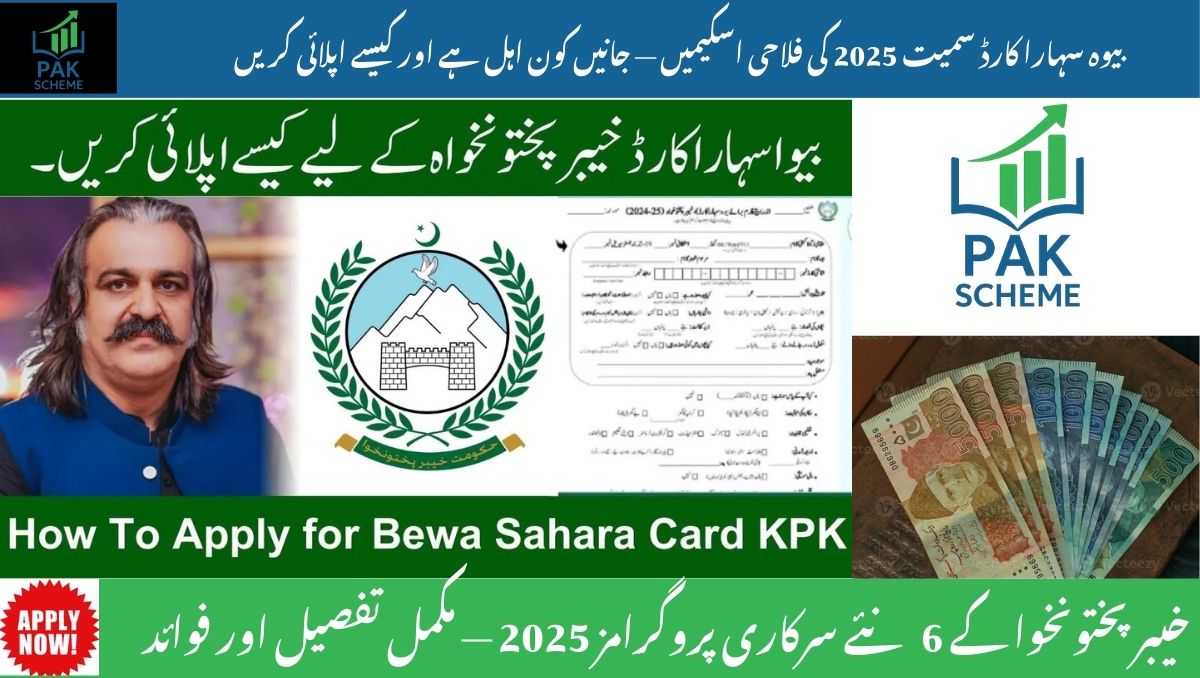 Top 6 New KPK Government Programs in 2025