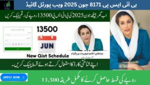 Read more about the article BISP 8171 Web Portal Guide – June 2025 Update for All Applicants