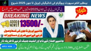 Read more about the article BISP April–June Payments Now Started: Eligibility & District Schedule 