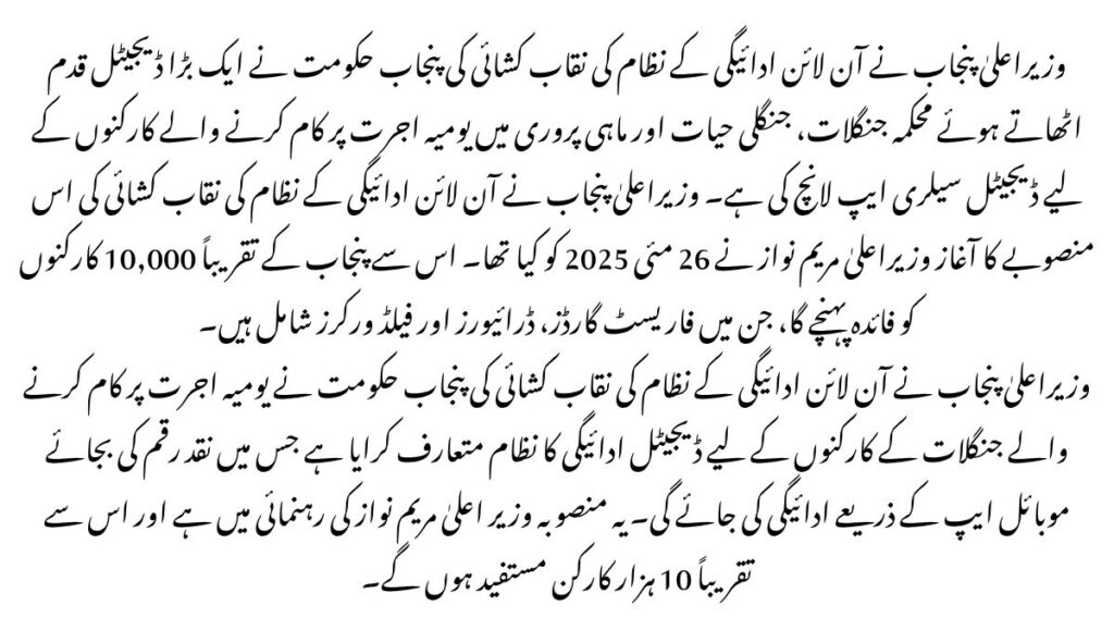 CM Punjab Unveils Online Payment System