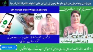 Read more about the article CM Punjab Unveils Online Payment System for Daily Wage Earners