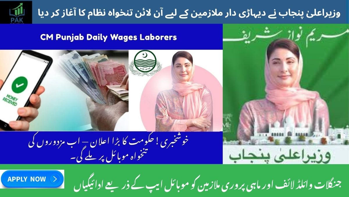 Read more about the article CM Punjab Unveils Online Payment System for Daily Wage Earners