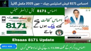 Read more about the article Ehsaas 8171 Cash Status Check – June 2025 Complete Guide