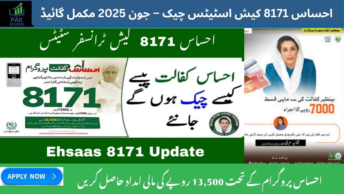 You are currently viewing Ehsaas 8171 Cash Status Check – June 2025 Complete Guide
