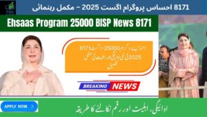 Read more about the article 8171 Ehsaas Program August 2025 – Complete Guide to Payments, Eligibility & Fund Withdrawal