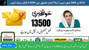 Read more about the article 8171 SMS Not Working? Easy Ways to Check Your BISP Payment Status Online in 2025