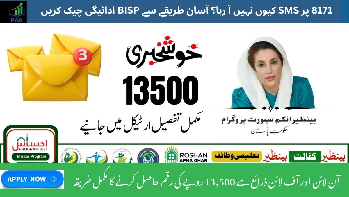 You are currently viewing 8171 SMS Not Working? Easy Ways to Check Your BISP Payment Status Online in 2025