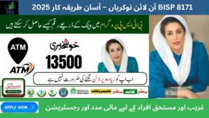Read more about the article BISP Jobs Online Application – Easy Step-by-Step Process for 2025