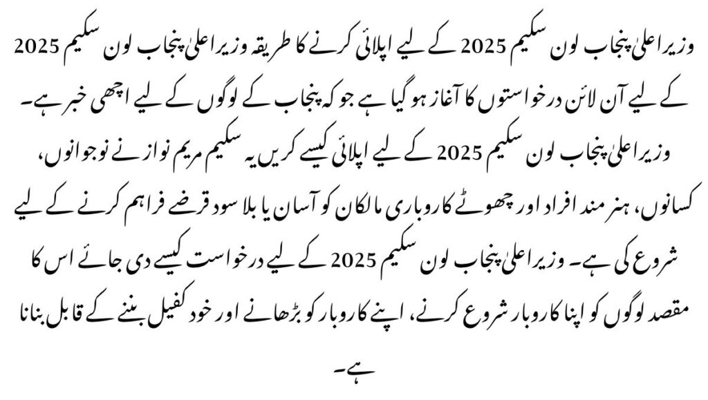 How to Apply for CM Punjab Loan Scheme 2025