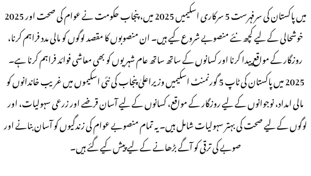 Pakistan Top 5 Govt Schemes in 2025