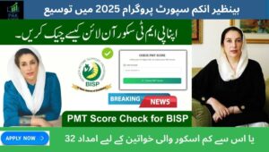 Read more about the article BISP Expands in 2025 – Women Scoring 32 or Less on PMT Eligible