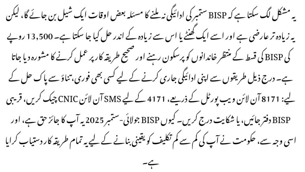 Why BISP July–September 2025
