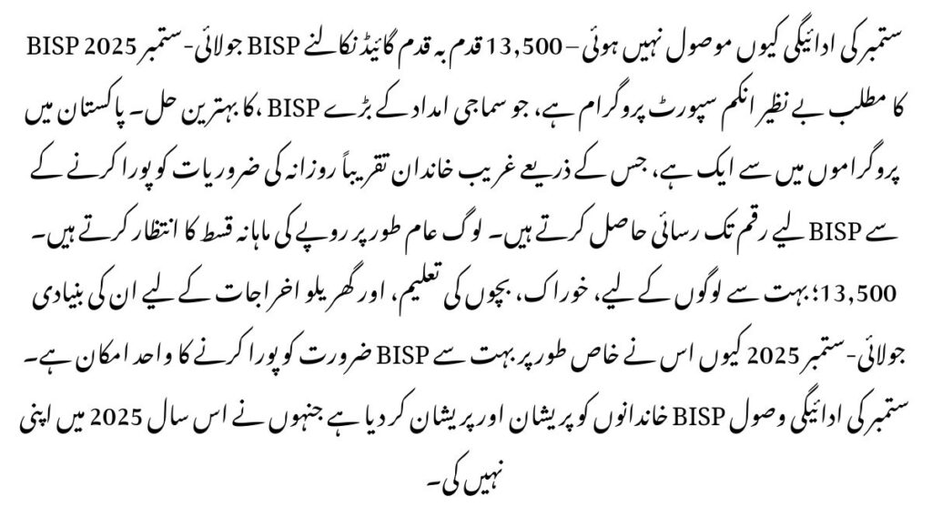 Why BISP July–September 2025