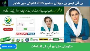 Read more about the article Why BISP July–September 2025 Installments Are Delayed — and What You Can Do