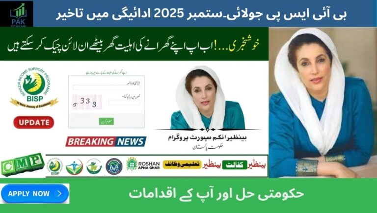 Why BISP July–September 2025
